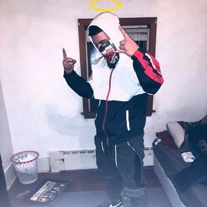 Meet your Posher, Paul